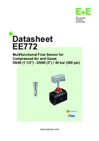 Thumbnail of document Data Sheet - EE771/EE772 Inline Flow Meter